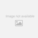 Federal Pacific FP T48LH2Y-75 Transformer